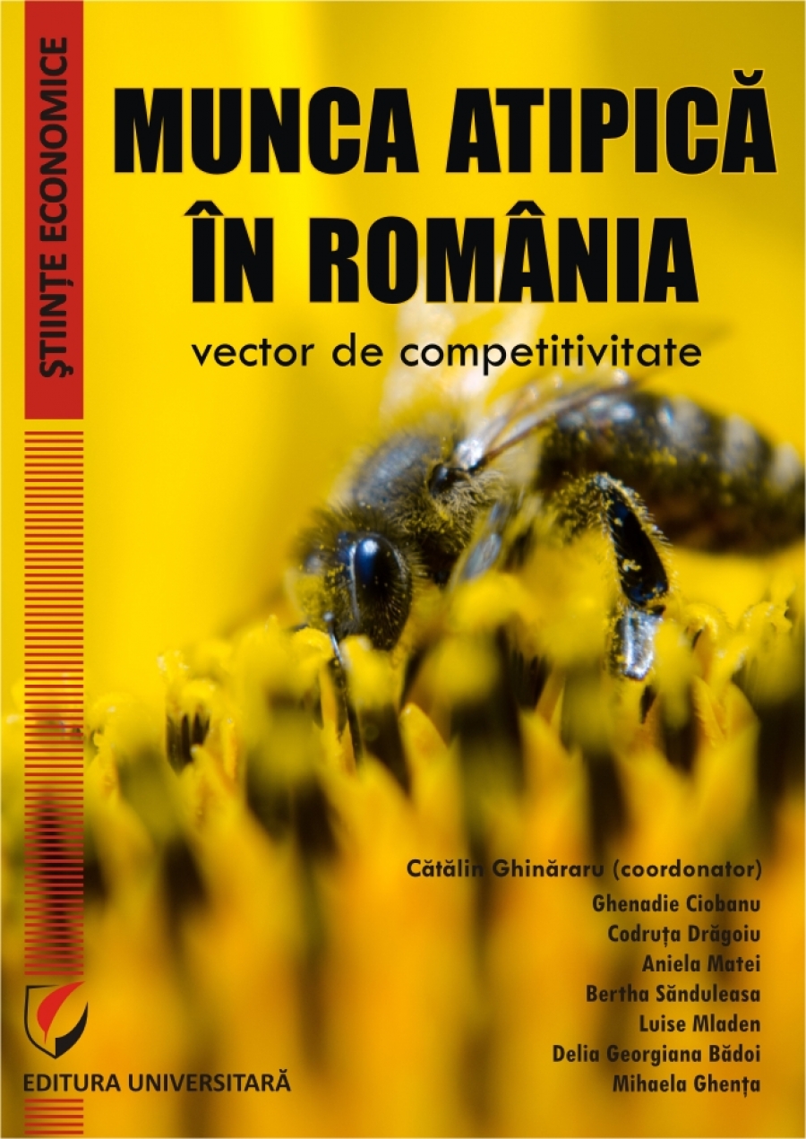 Munca atipica in Romania - vector de competitivitate